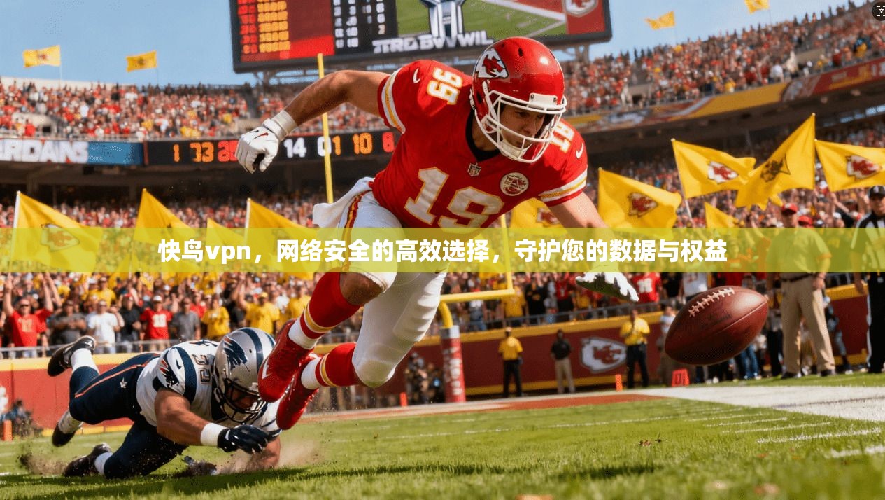 快鸟vpn，网络安全的高效选择，守护您的数据与权益