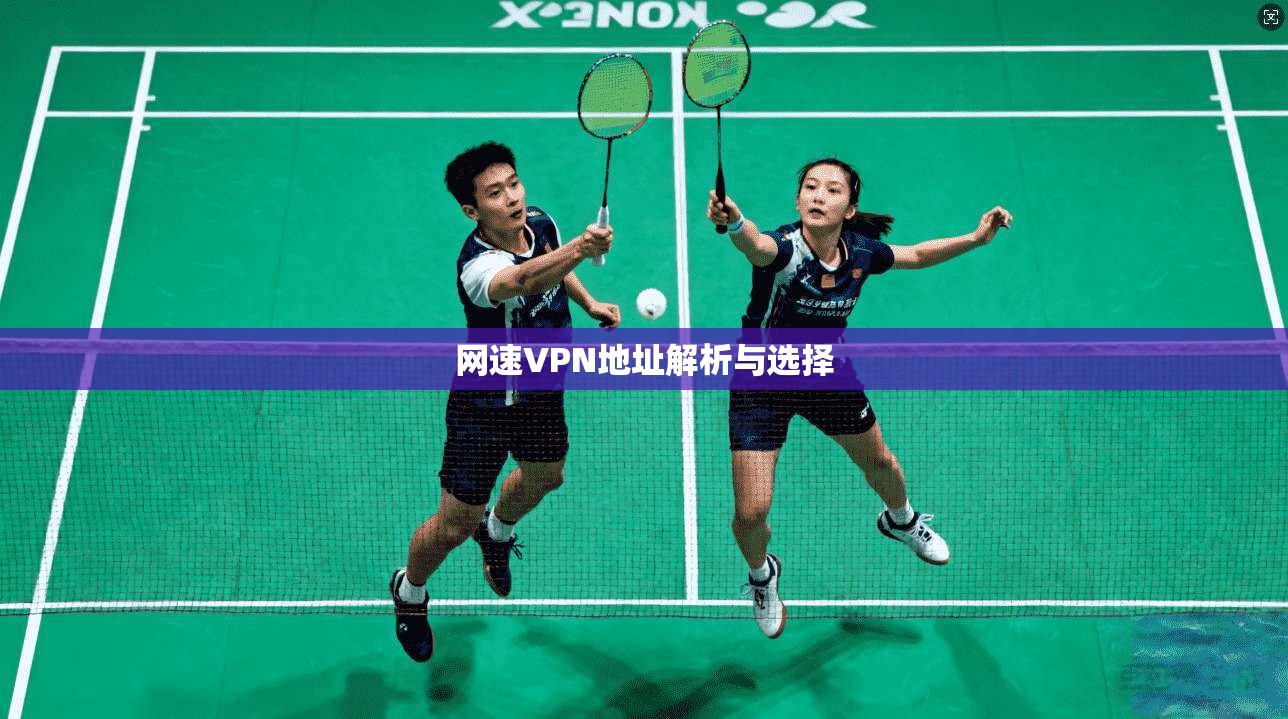 网速VPN地址解析与选择