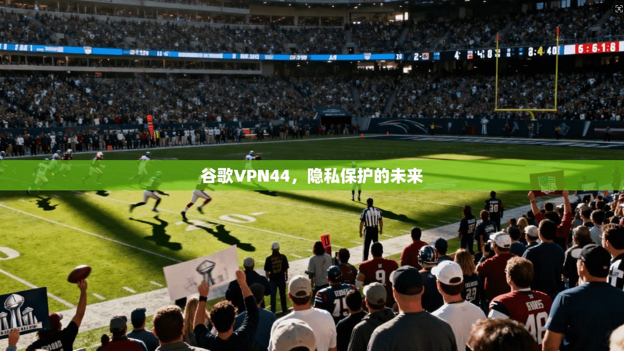 谷歌VPN44，隐私保护的未来