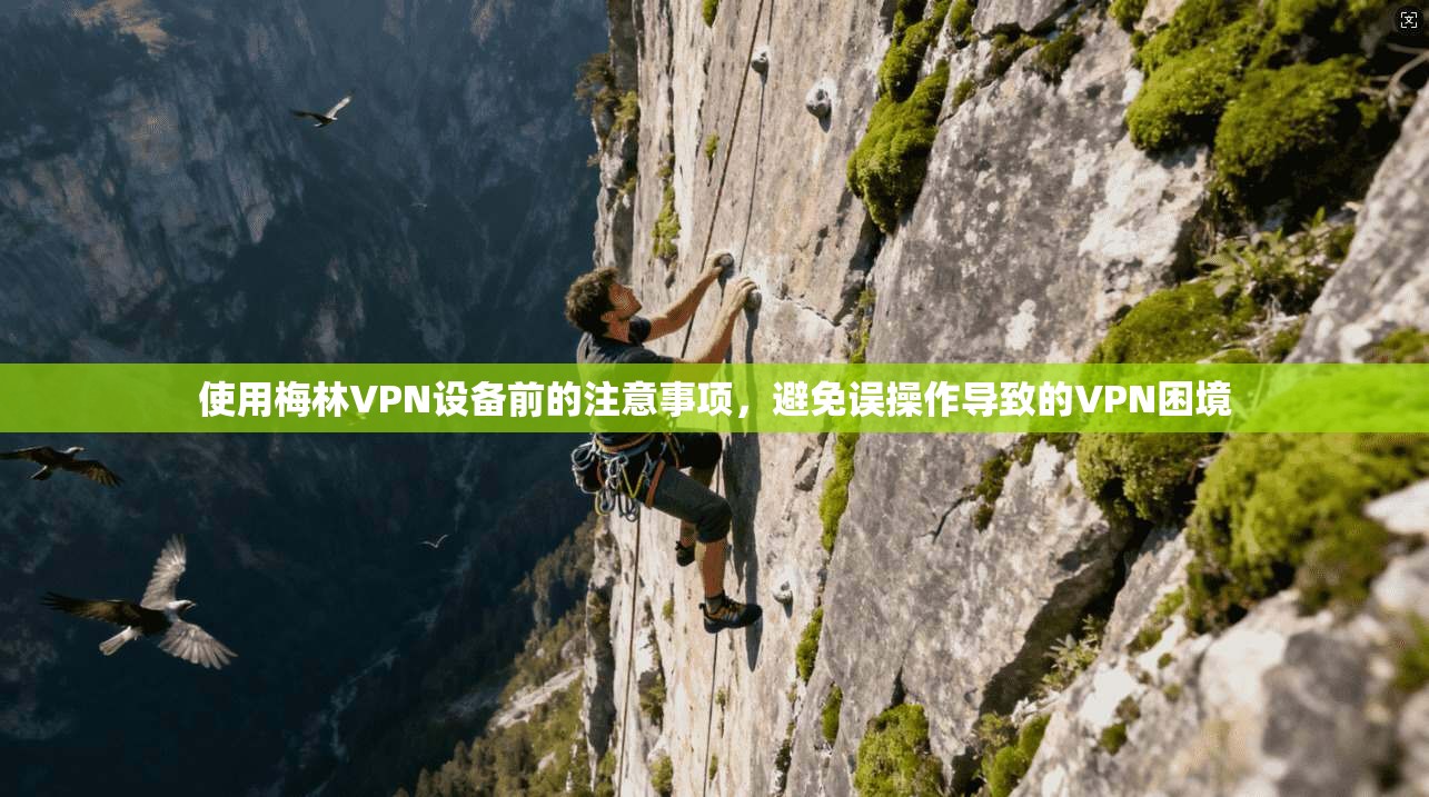 使用梅林VPN设备前的注意事项，避免误操作导致的VPN困境