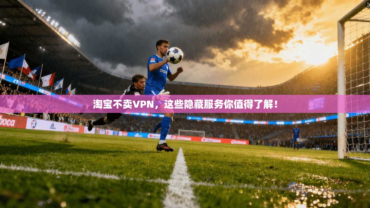 淘宝不卖VPN，这些隐藏服务你值得了解！