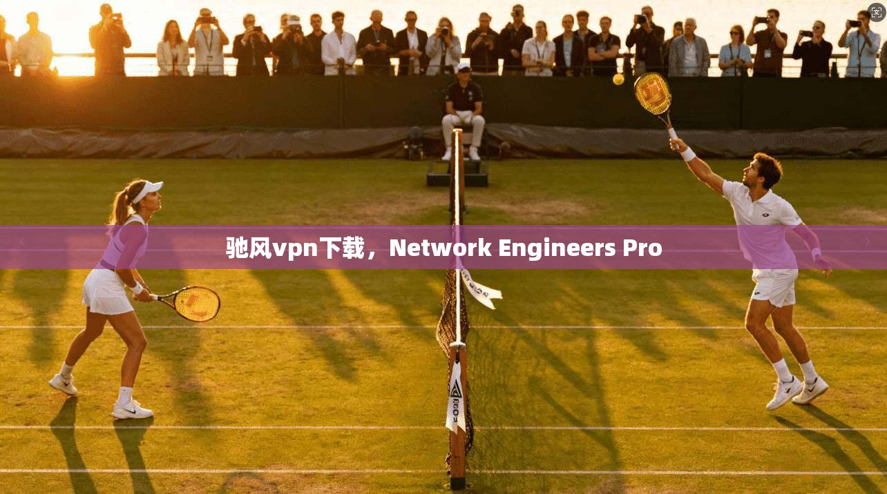 驰风vpn下载，Network Engineers Pro