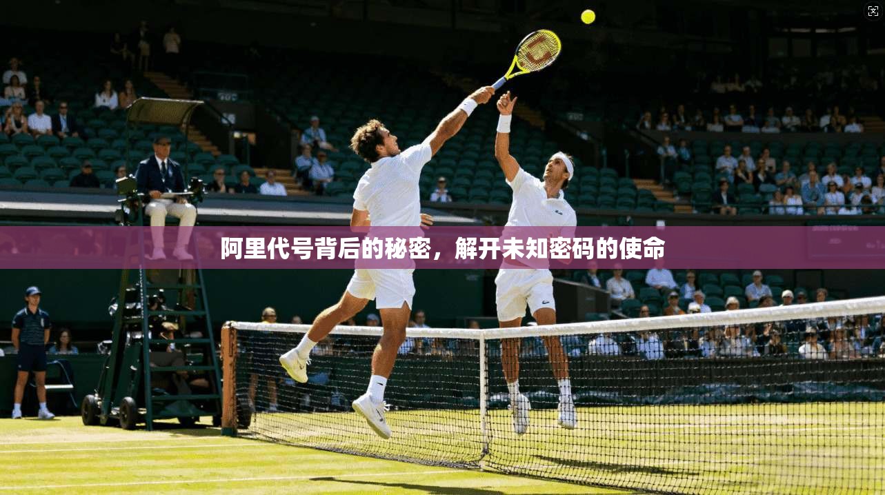 阿里代号背后的秘密，解开未知密码的使命