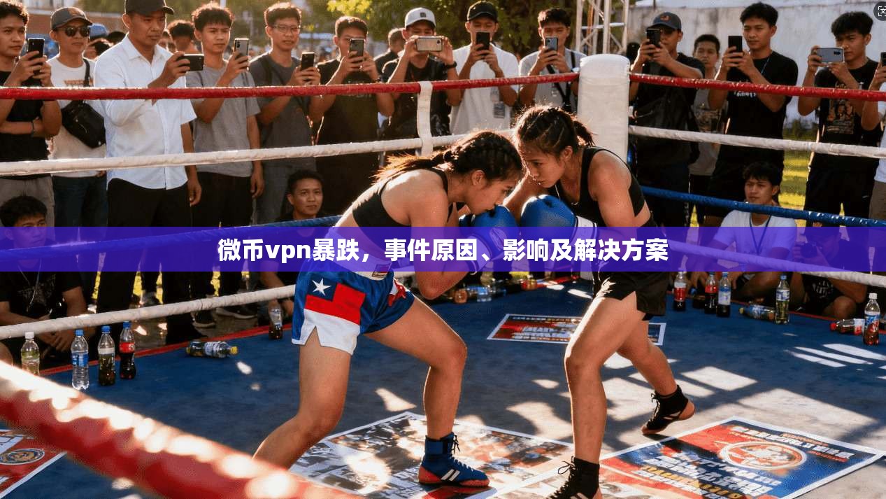 微币vpn暴跌，事件原因、影响及解决方案
