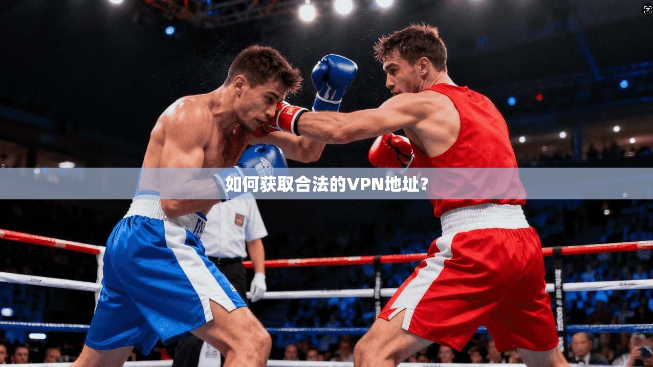 如何获取合法的VPN地址？