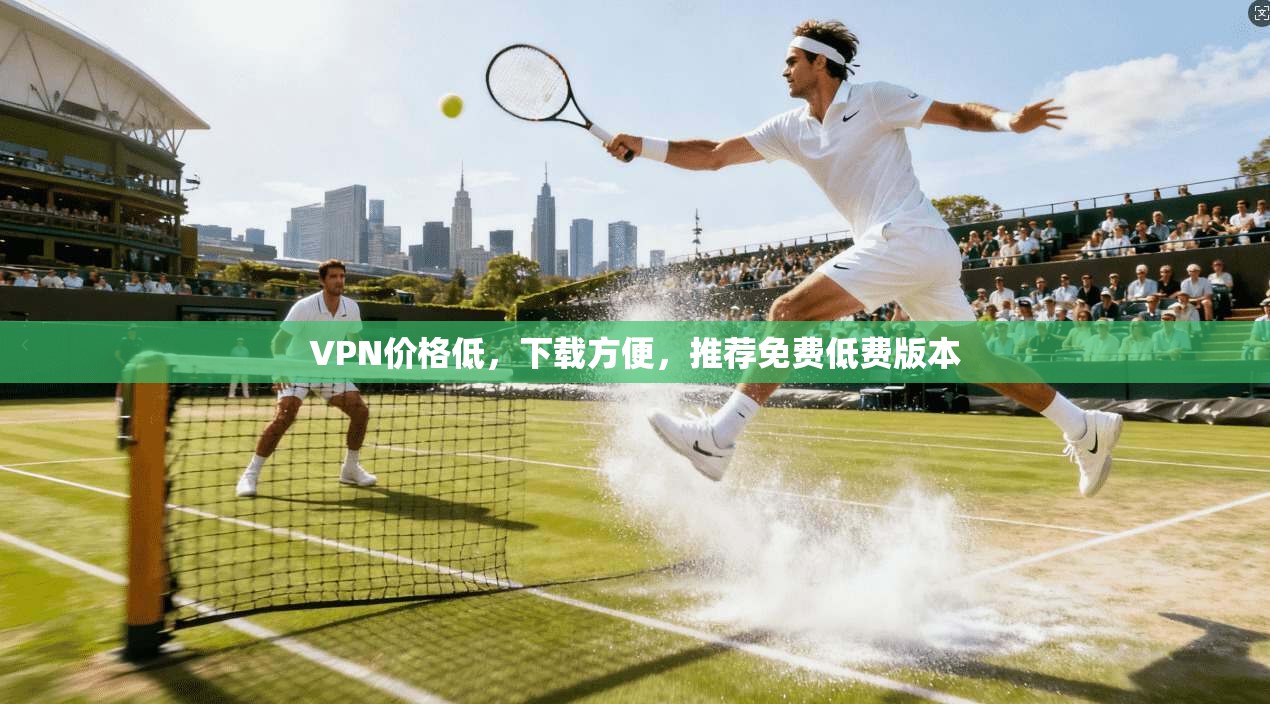 VPN价格低，下载方便，推荐免费低费版本
