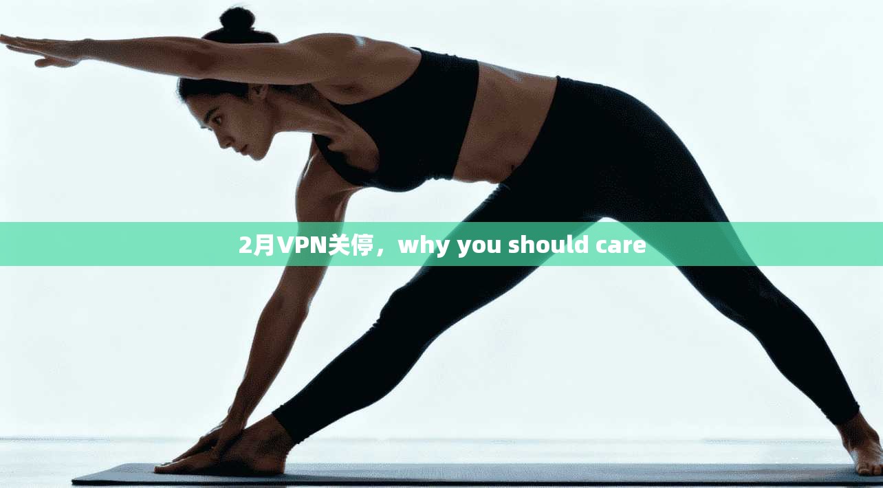 2月VPN关停，why you should care