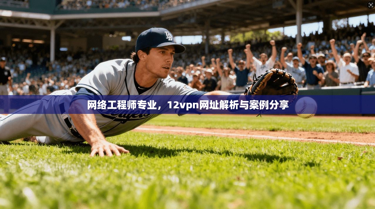 网络工程师专业，12vpn网址解析与案例分享
