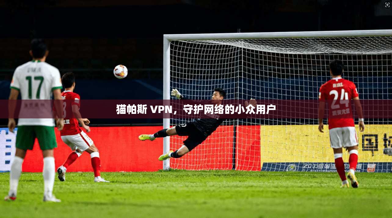 猫帕斯 VPN，守护网络的小众用户