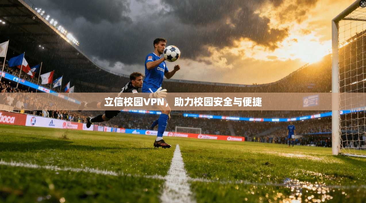 立信校园VPN，助力校园安全与便捷