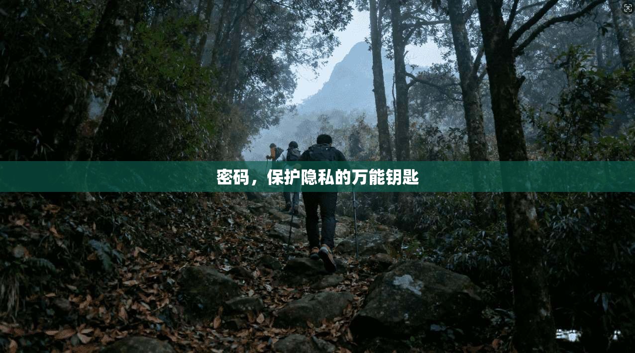 密码，保护隐私的万能钥匙
