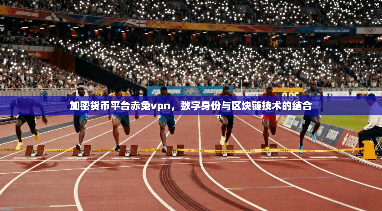 加密货币平台赤兔vpn，数字身份与区块链技术的结合