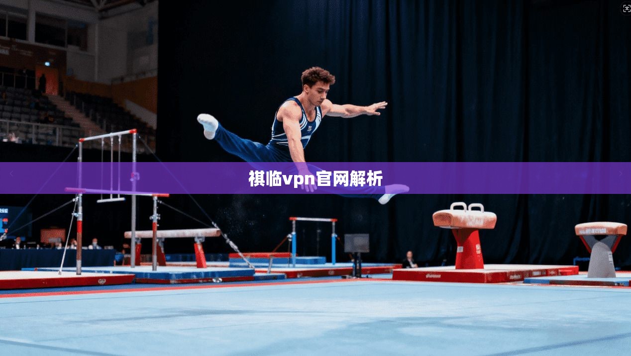 祺临vpn官网解析