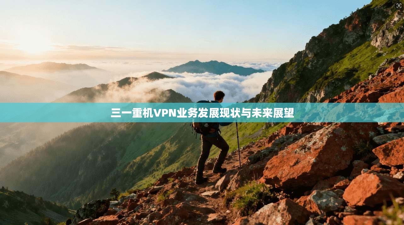 三一重机VPN业务发展现状与未来展望
