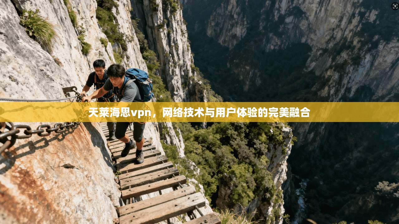 天莱海思vpn，网络技术与用户体验的完美融合