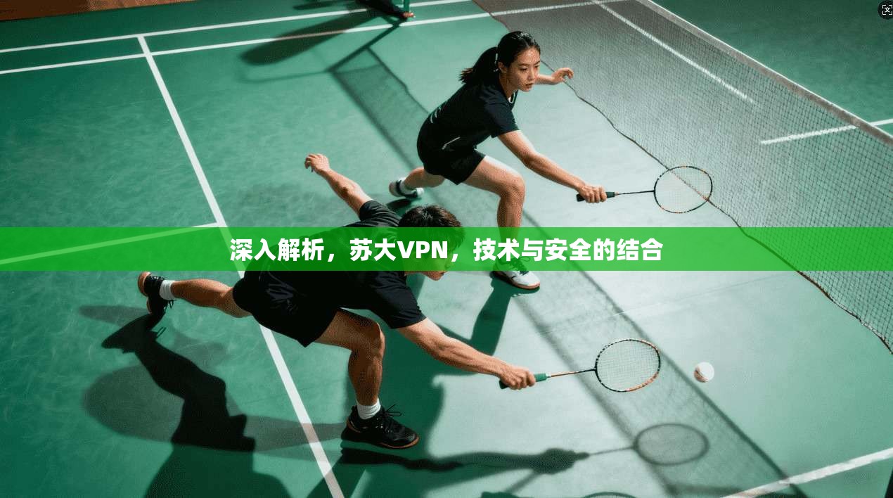 深入解析，苏大VPN，技术与安全的结合