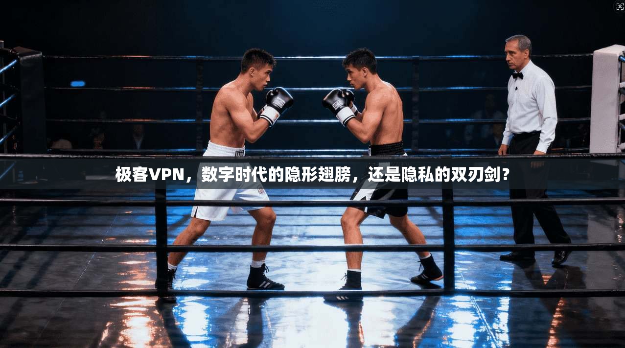 极客VPN,数字时代的隐形翅膀,还是隐私的双刃剑? 极客VPN,数字时代的隐形翅膀,还是隐私的双刃剑?