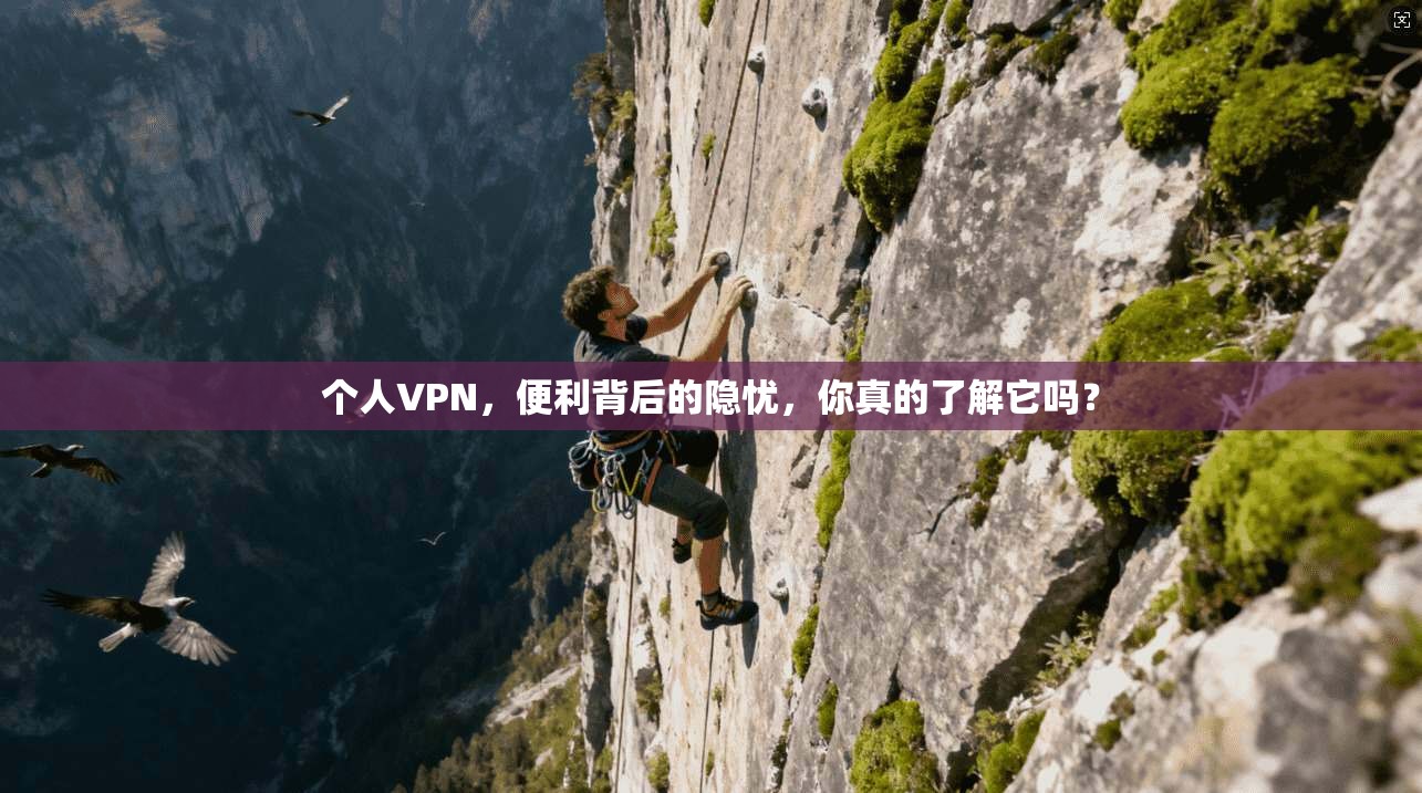 个人VPN，便利背后的隐忧，你真的了解它吗？