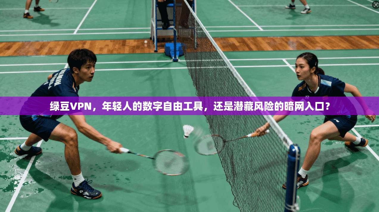 绿豆VPN，年轻人的数字自由工具，还是潜藏风险的暗网入口？