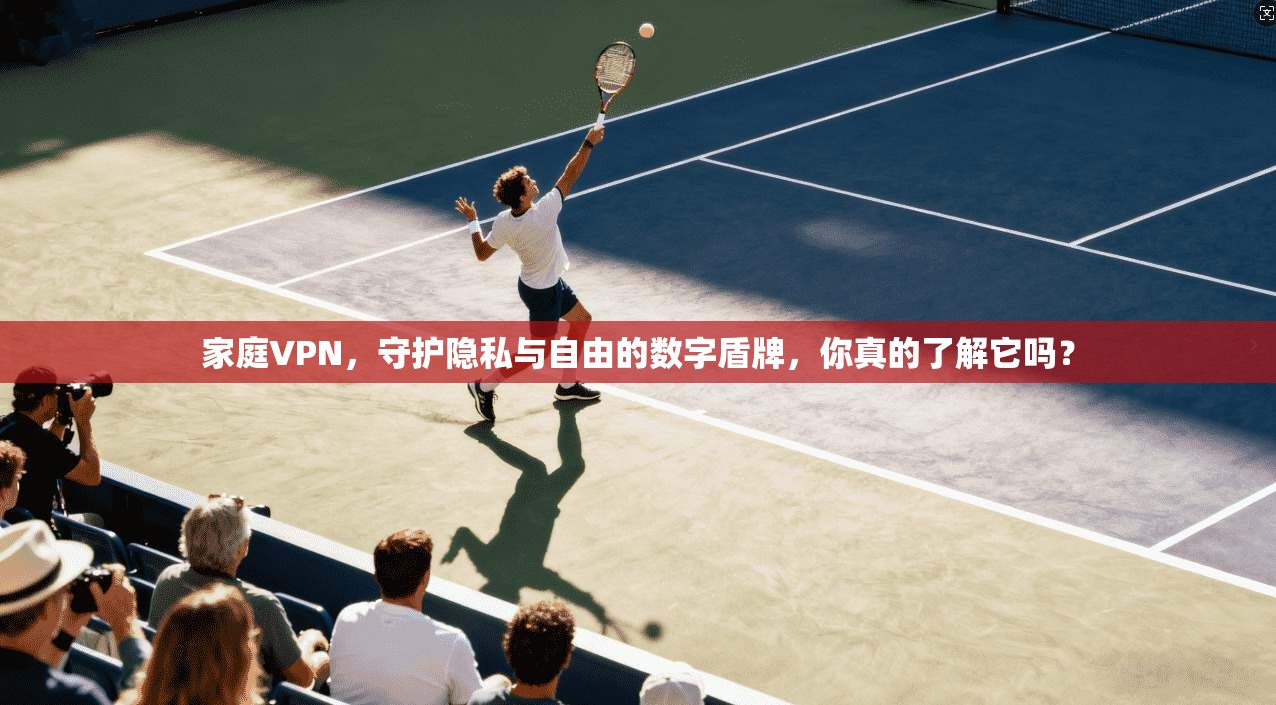家庭VPN，守护隐私与自由的数字盾牌，你真的了解它吗？