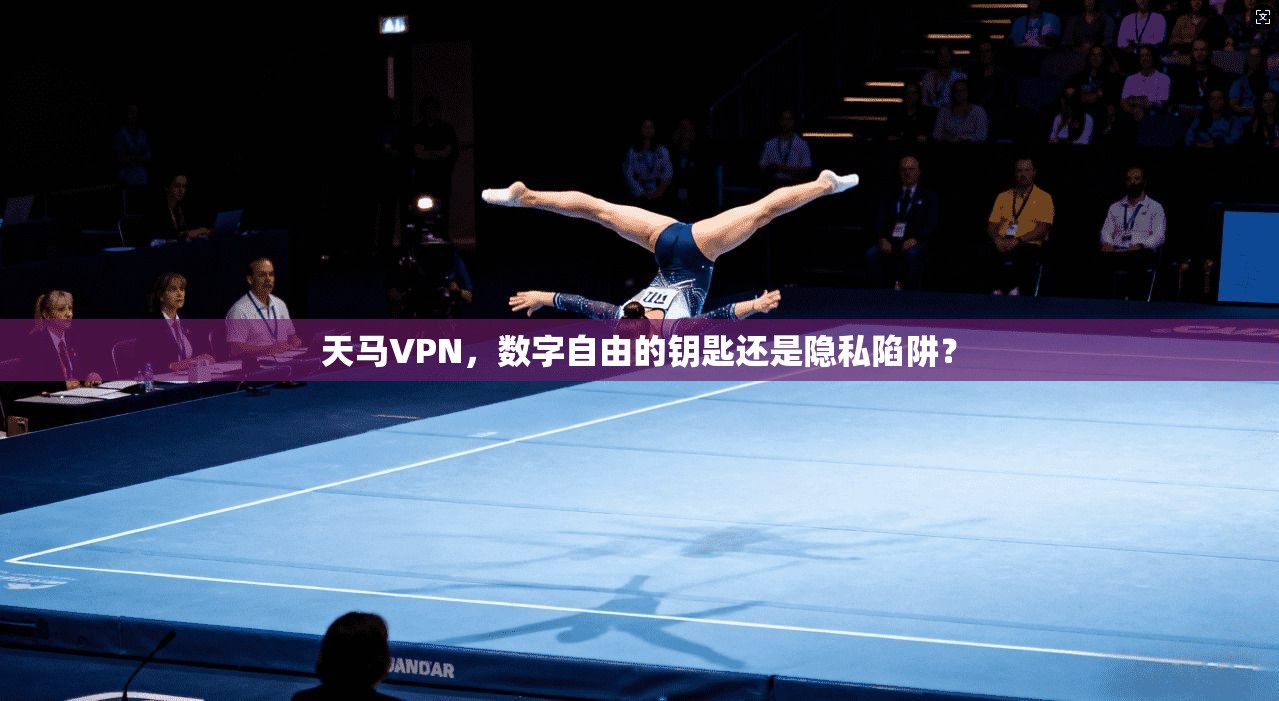 天马VPN，数字自由的钥匙还是隐私陷阱？