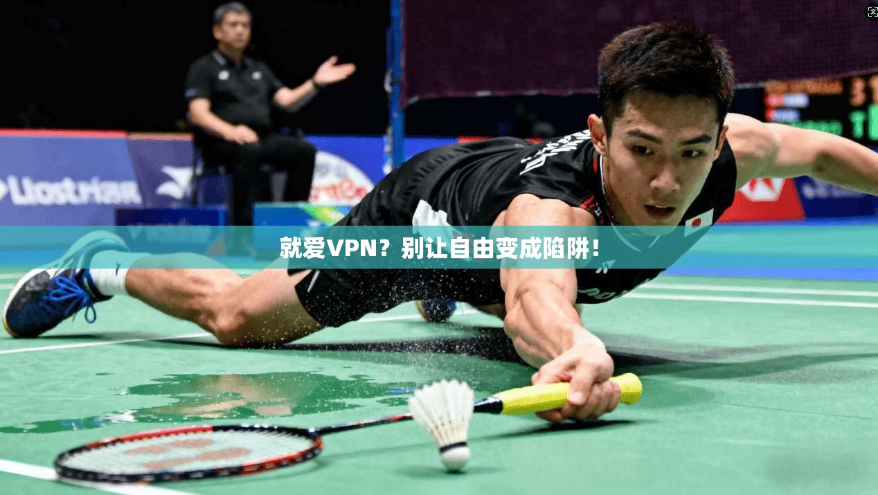 就爱VPN？别让自由变成陷阱！