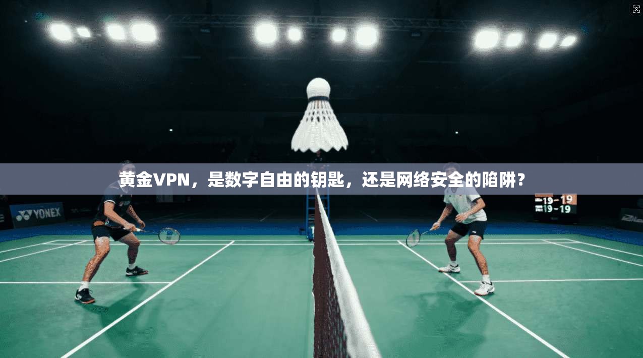 黄金VPN，是数字自由的钥匙，还是网络安全的陷阱？