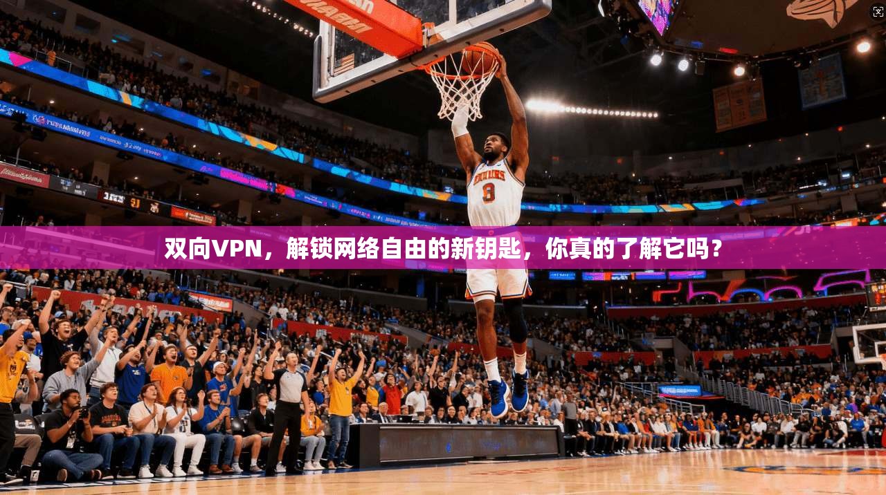 双向VPN，解锁网络自由的新钥匙，你真的了解它吗？