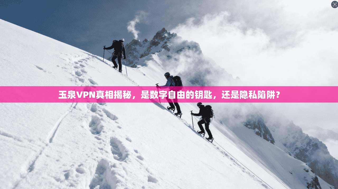 玉泉VPN真相揭秘，是数字自由的钥匙，还是隐私陷阱？