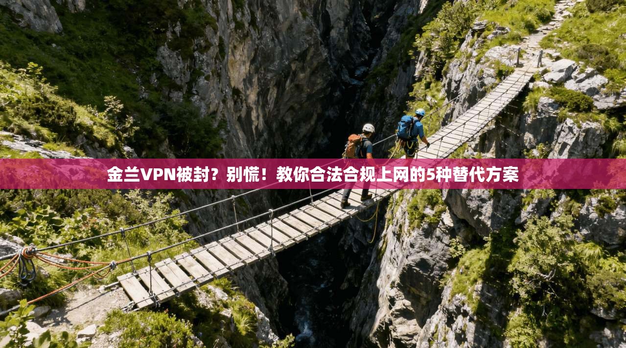 金兰VPN被封？别慌！教你合法合规上网的5种替代方案