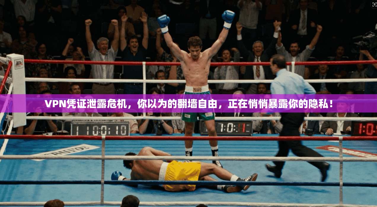 VPN凭证泄露危机，你以为的翻墙自由，正在悄悄暴露你的隐私！