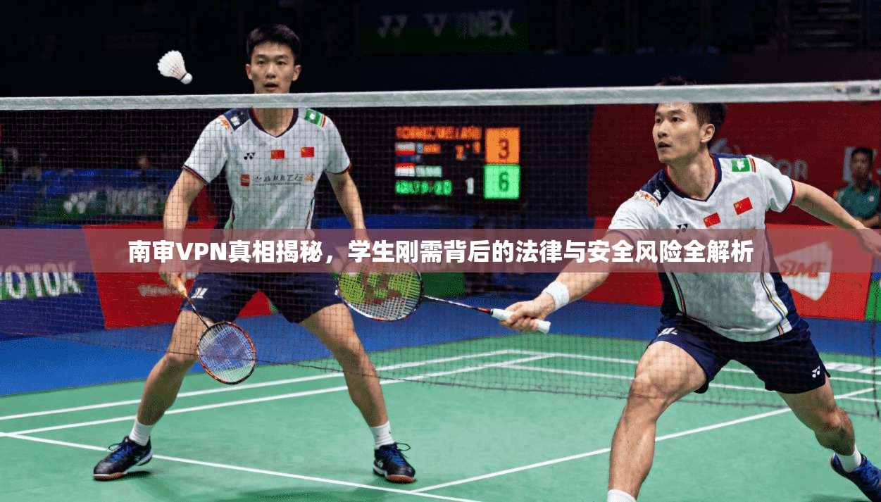 南审VPN真相揭秘，学生刚需背后的法律与安全风险全解析