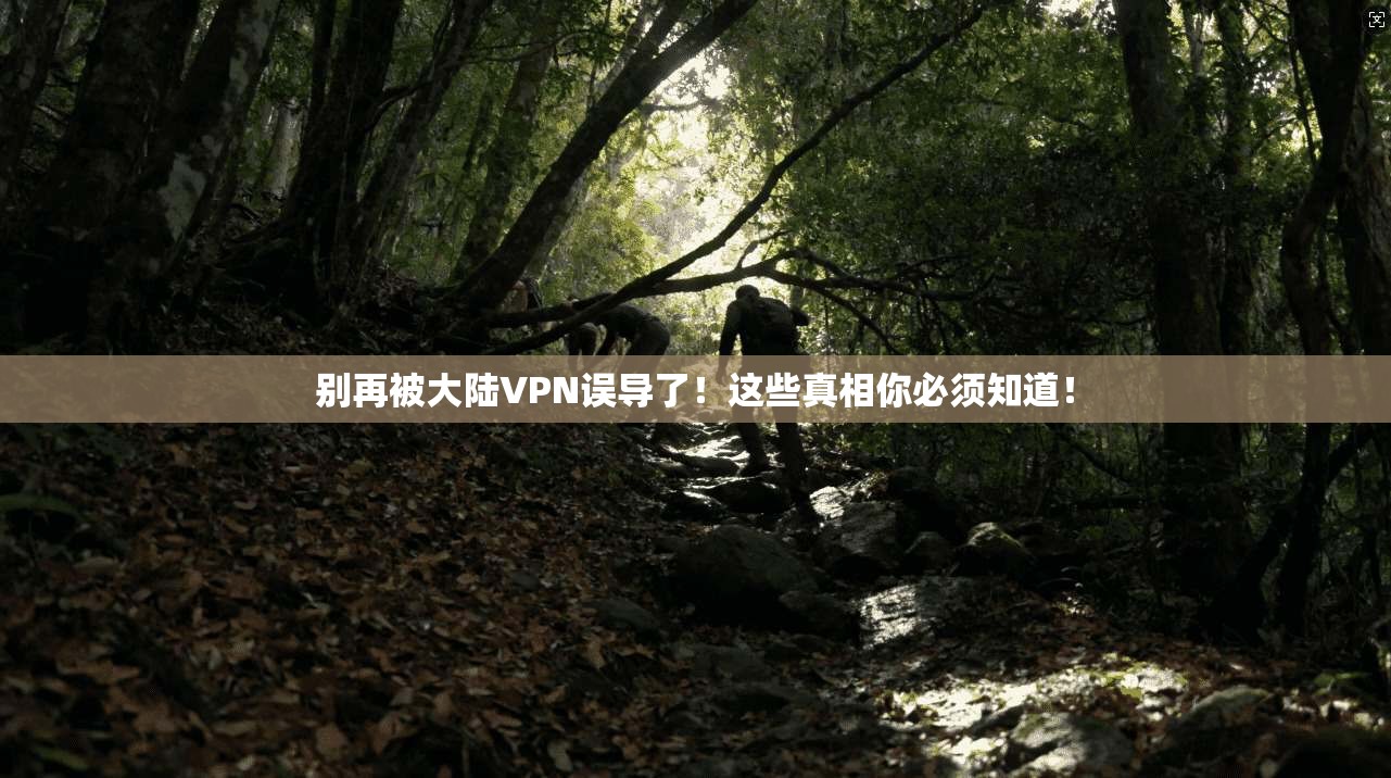 别再被大陆VPN误导了！这些真相你必须知道！