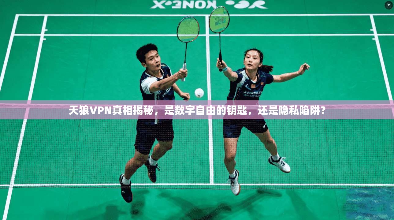 天狼VPN真相揭秘，是数字自由的钥匙，还是隐私陷阱？