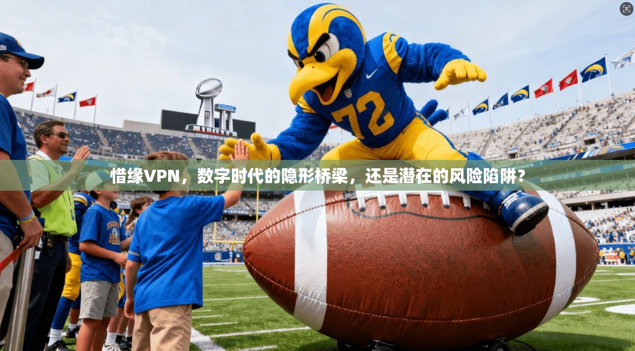 惜缘VPN，数字时代的隐形桥梁，还是潜在的风险陷阱？