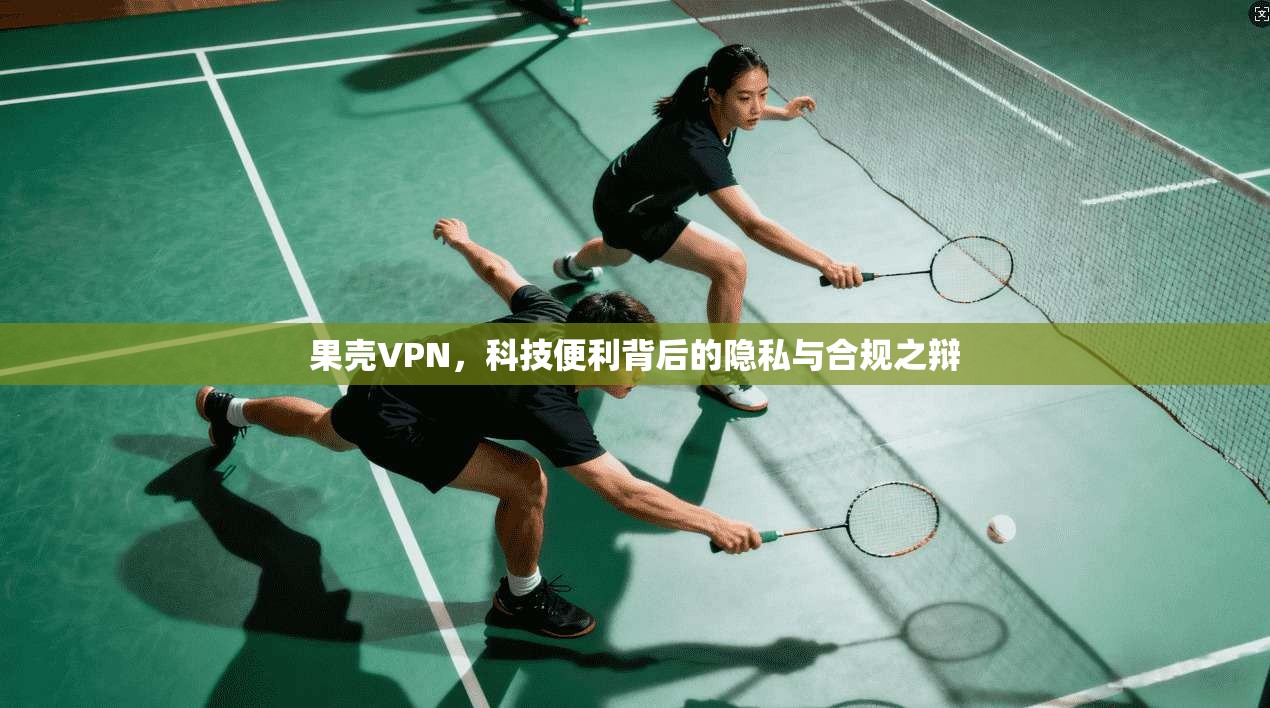 果壳VPN，科技便利背后的隐私与合规之辩