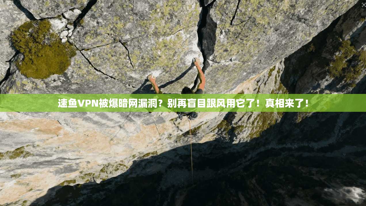速鱼VPN被爆暗网漏洞？别再盲目跟风用它了！真相来了！