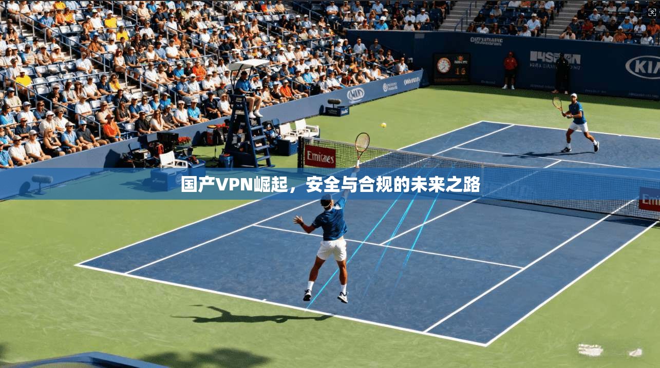 国产VPN崛起，安全与合规的未来之路