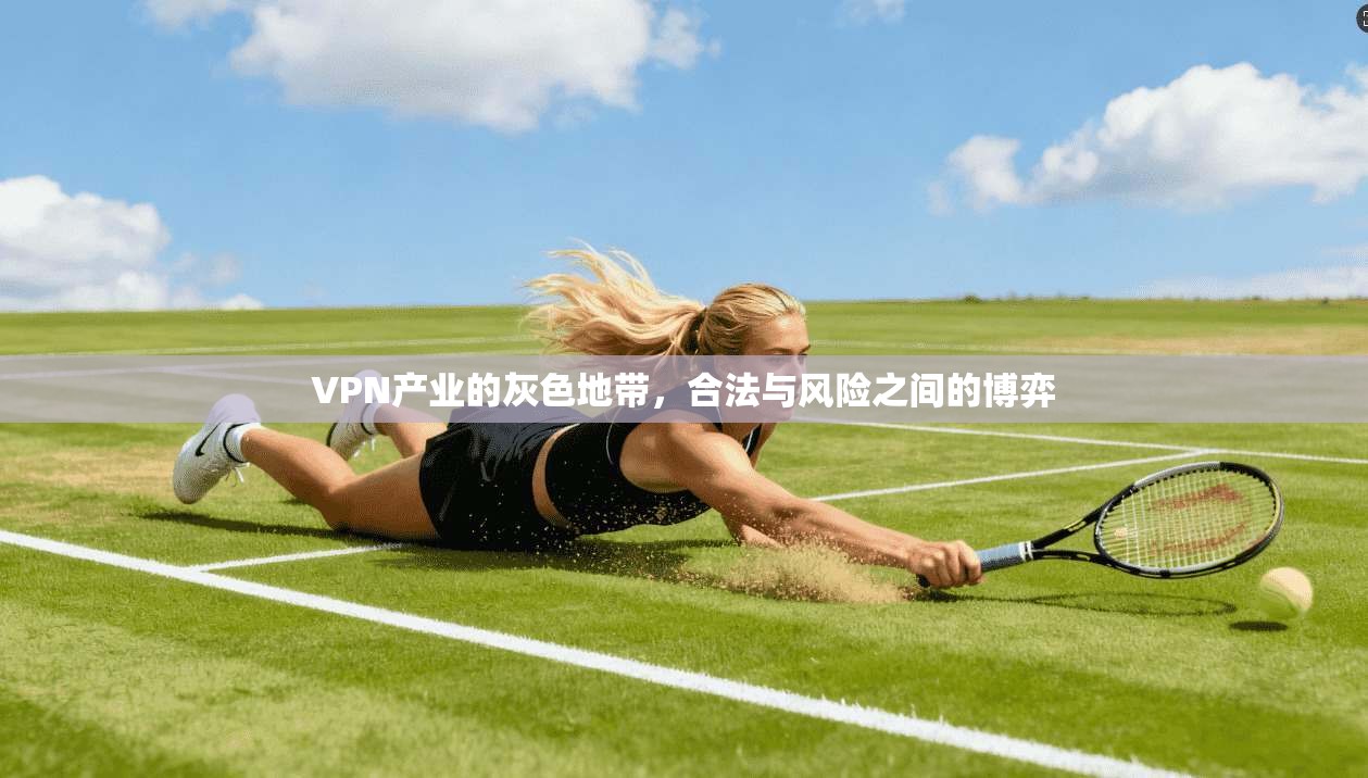 VPN产业的灰色地带，合法与风险之间的博弈