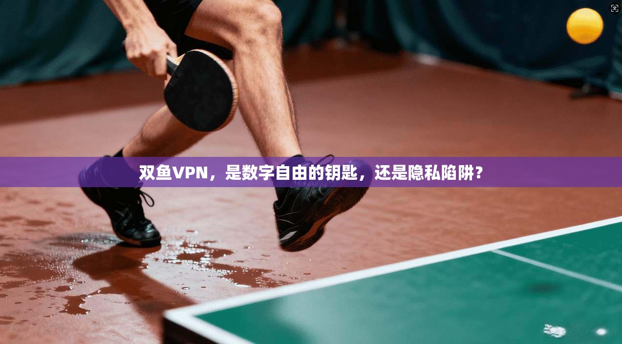 双鱼VPN，是数字自由的钥匙，还是隐私陷阱？
