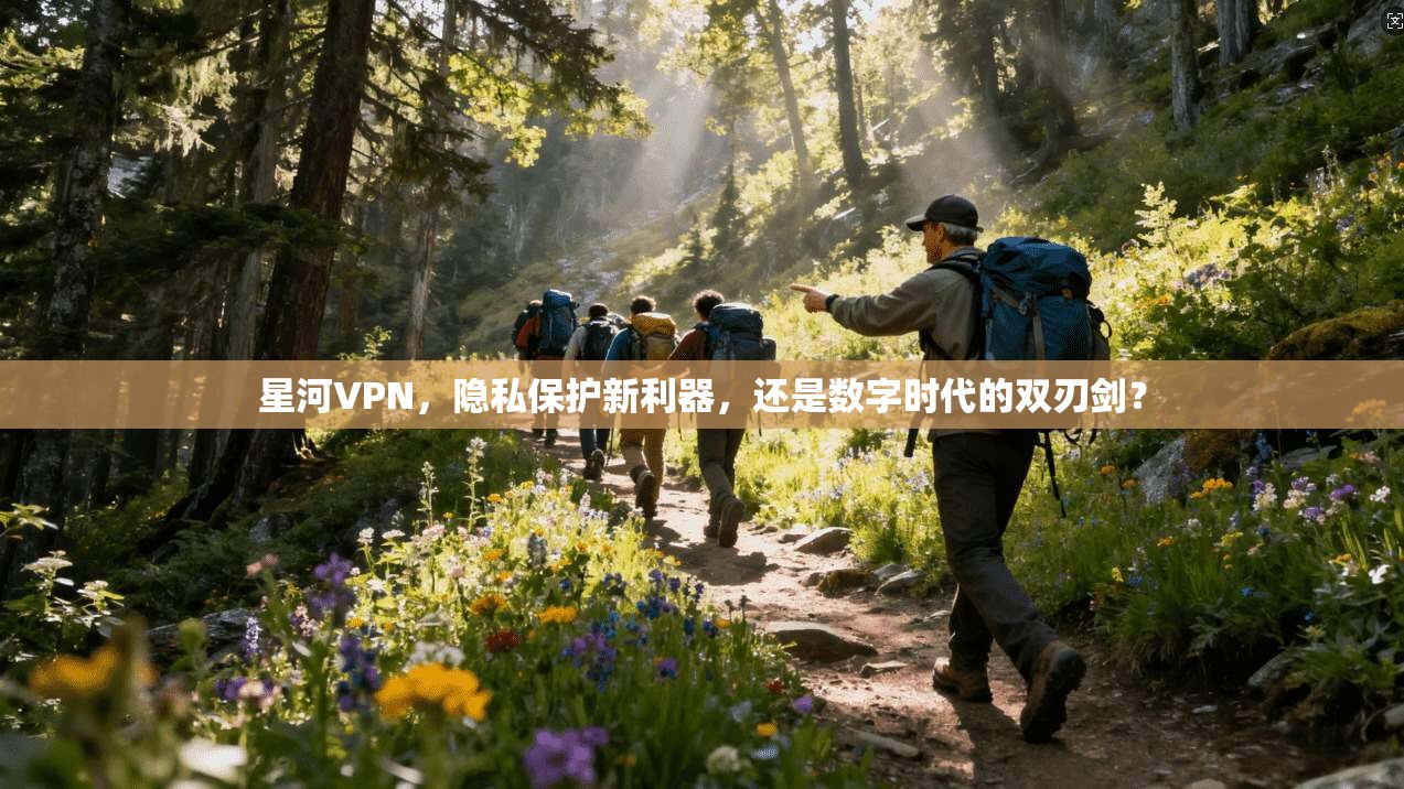 星河VPN，隐私保护新利器，还是数字时代的双刃剑？