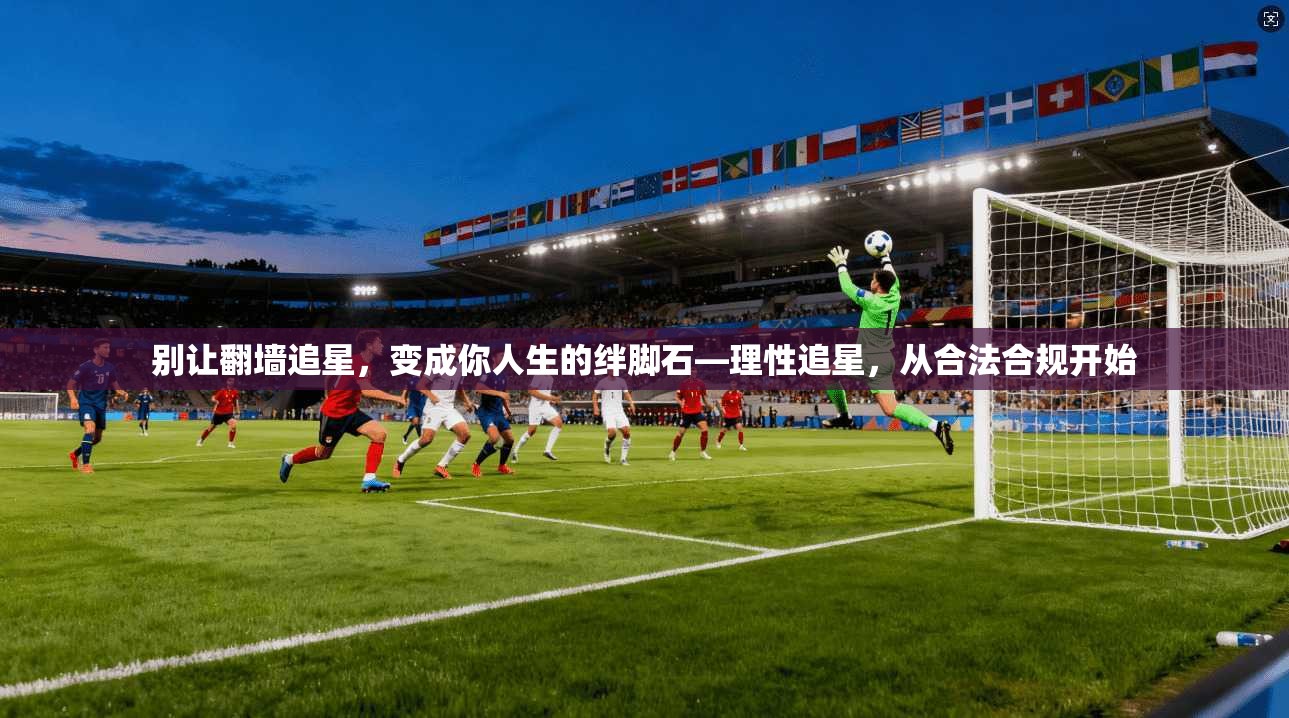 别让翻墙追星，变成你人生的绊脚石—理性追星，从合法合规开始
