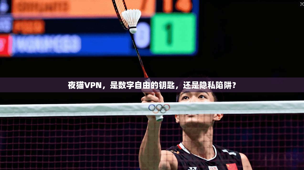 夜猫VPN，是数字自由的钥匙，还是隐私陷阱？