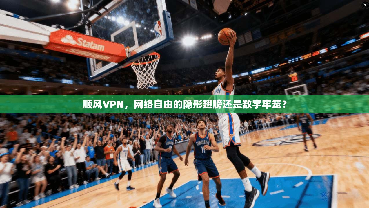 顺风VPN，网络自由的隐形翅膀还是数字牢笼？
