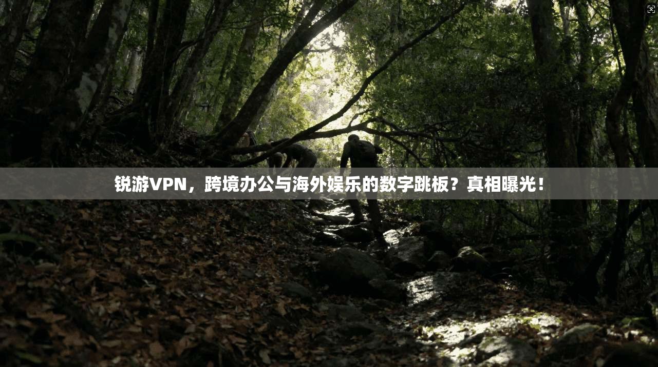 锐游VPN，跨境办公与海外娱乐的数字跳板？真相曝光！