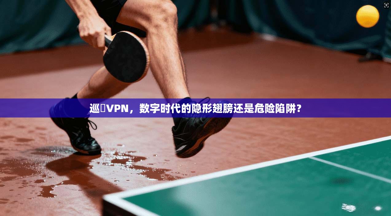 巡遊VPN,数字时代的隐形翅膀还是危险陷阱?