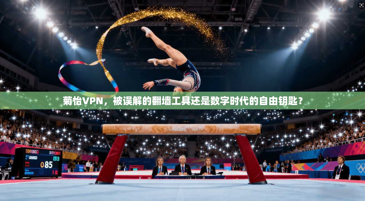 菊怡VPN,被误解的翻墙工具还是数字时代的自由钥匙?