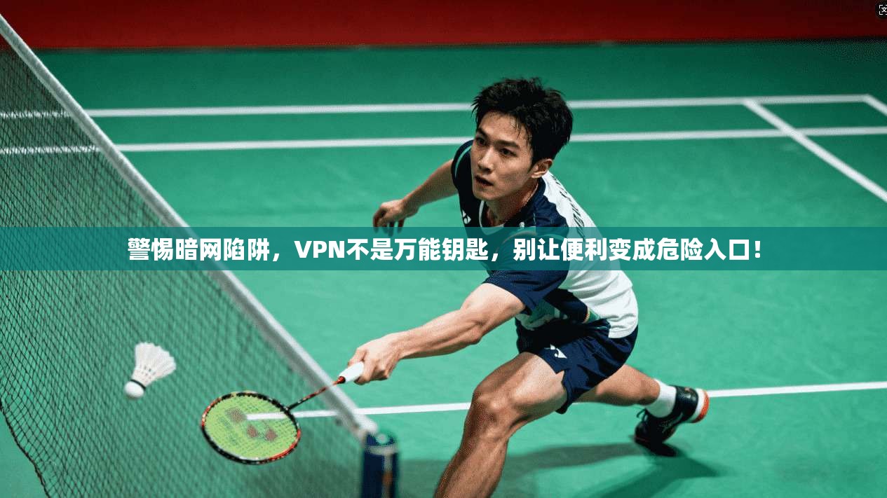 警惕暗网陷阱，VPN不是万能钥匙，别让便利变成危险入口！