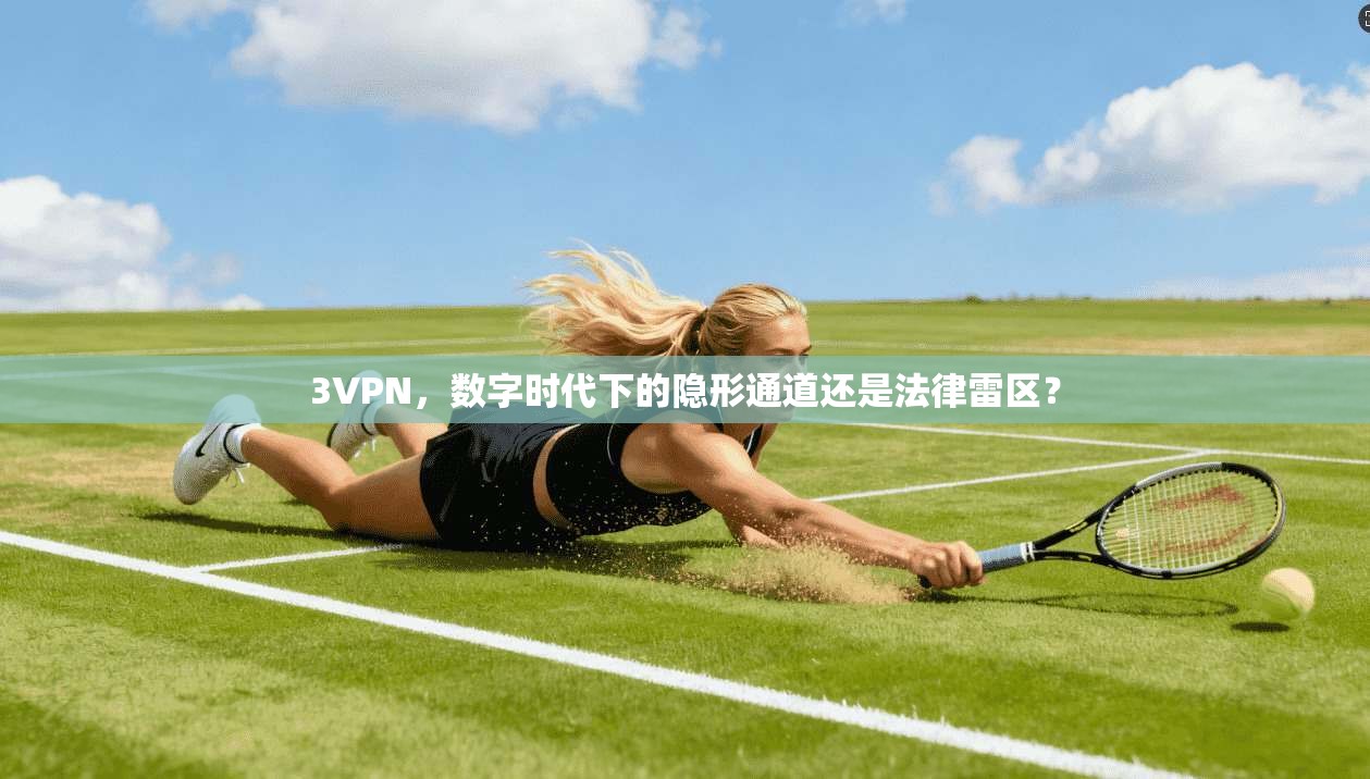 3VPN,数字时代下的隐形通道还是法律雷区? 3VPN,数字时代下的隐形通道还是法律雷区?