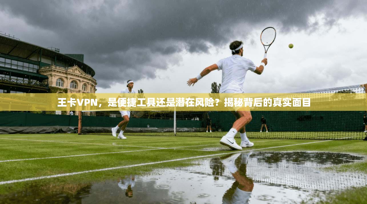 王卡VPN，是便捷工具还是潜在风险？揭秘背后的真实面目